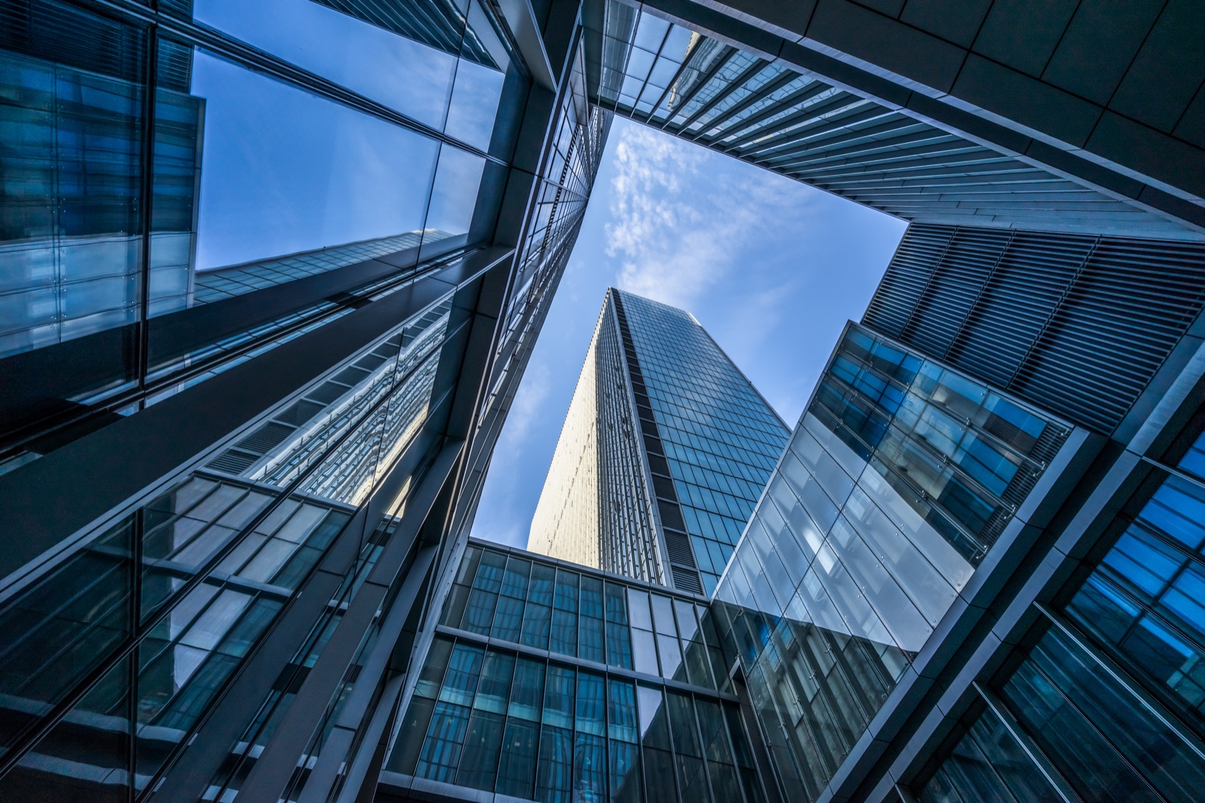 Scaling a Real-Estate Brand With Marketing Automation