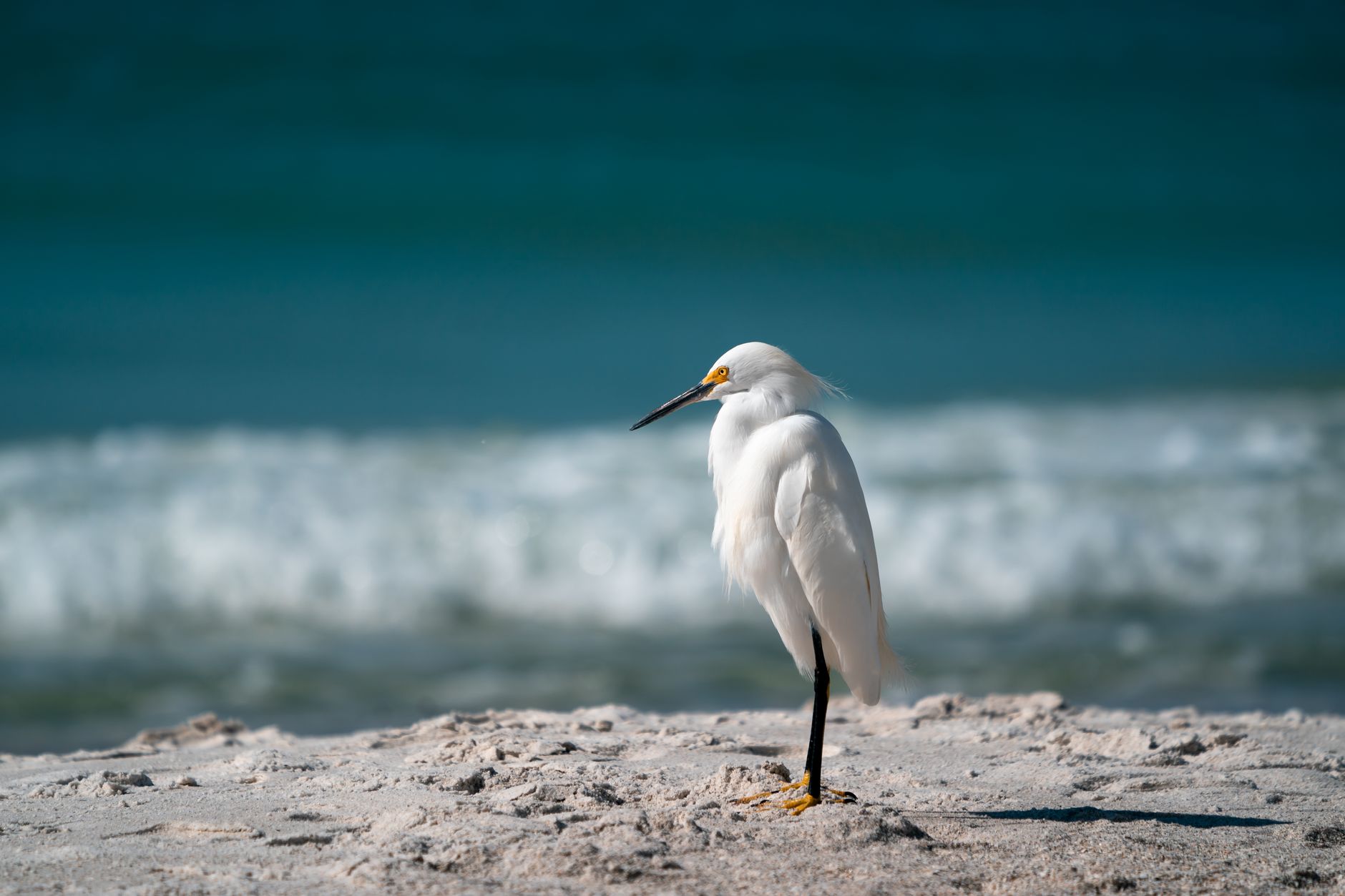 Is a Boat Slip Real Property in Florida?