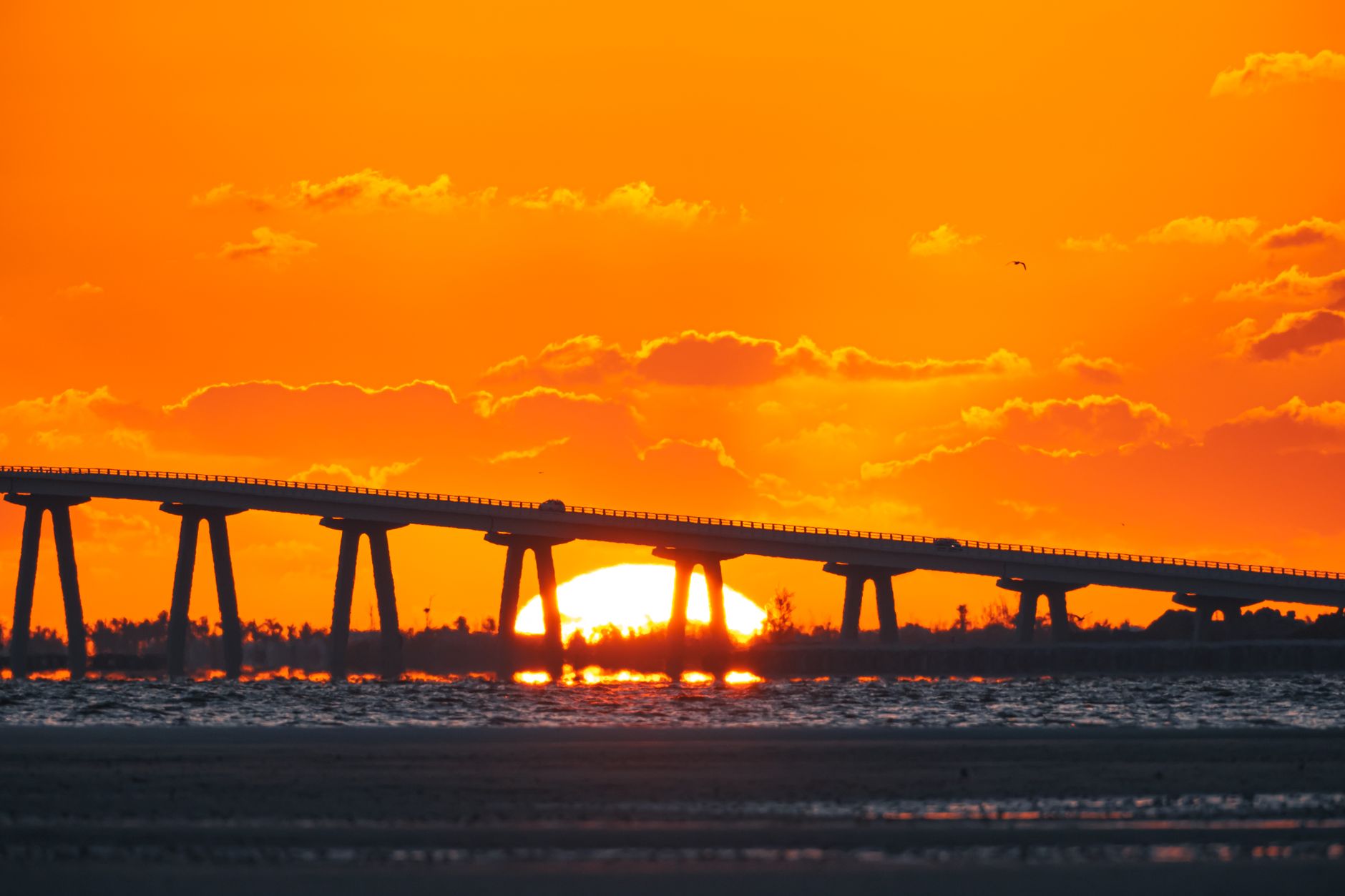 Choosing Between Island and Mainland Living