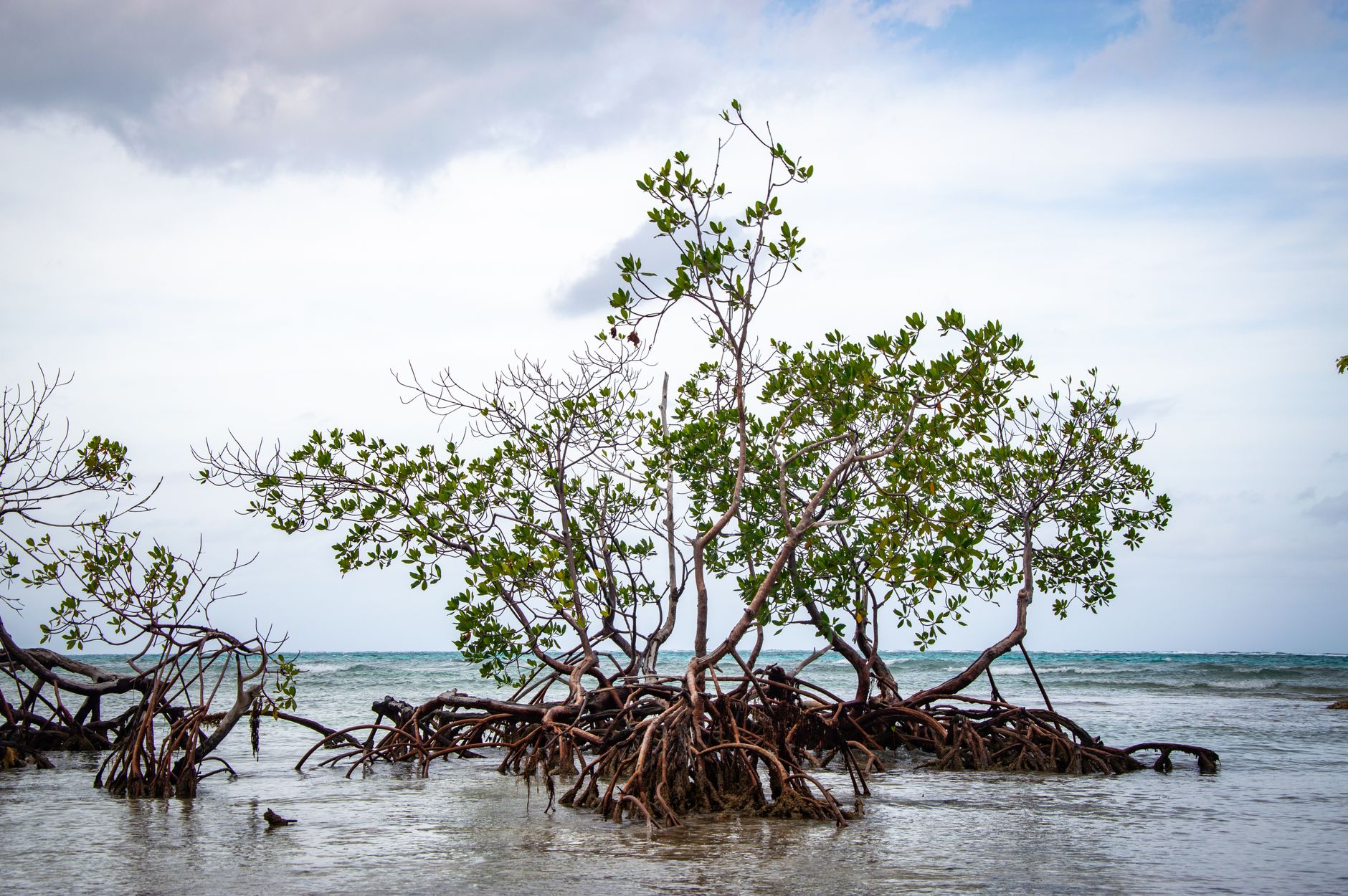 Understanding Riparian Rights on Florida Waterfront