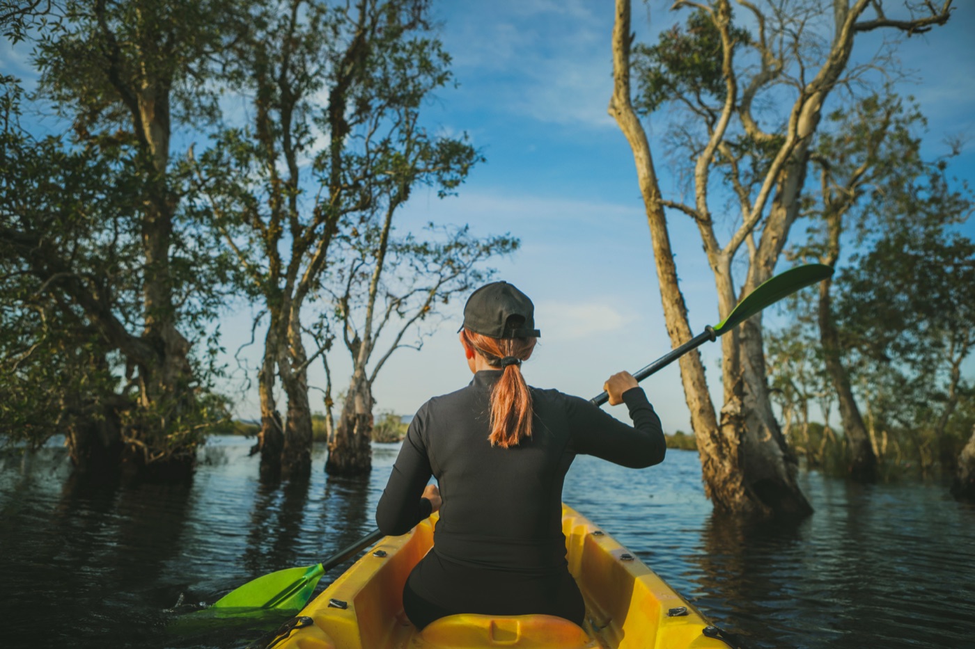 Build Your Own Direct-Booking Website — and Why It Matters